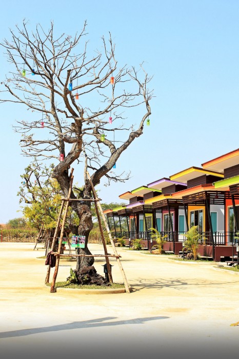 D-Sine Resort 63/100