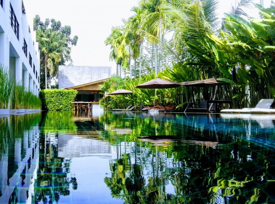 Tea Tree Spa Resort 26/82