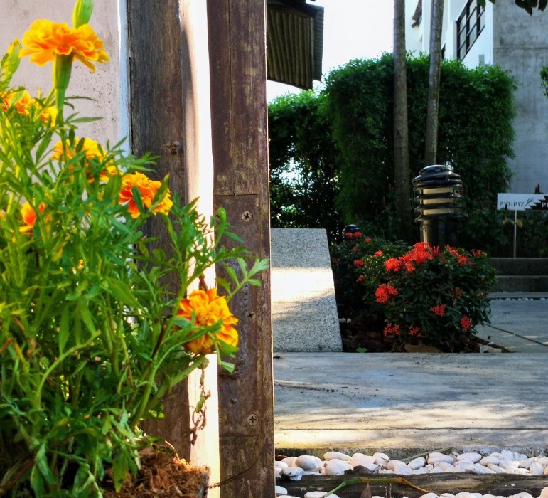 Tea Tree Spa Resort 27/82