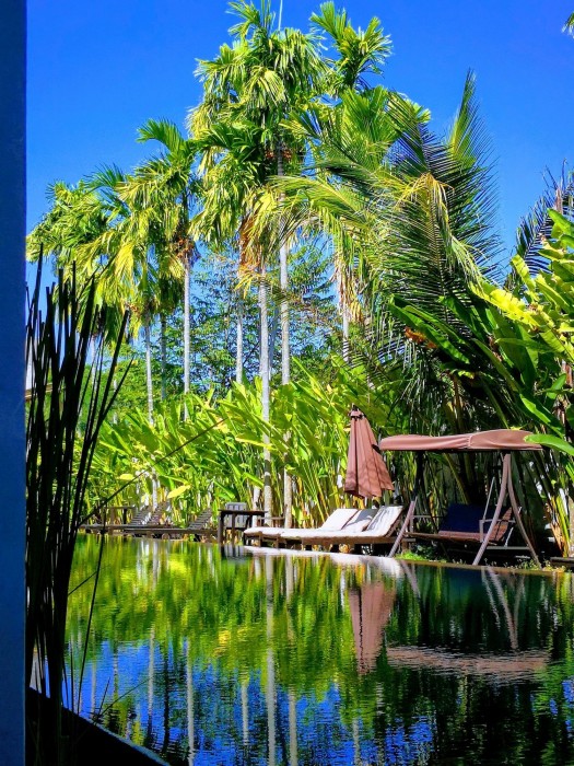 Tea Tree Spa Resort 29/82