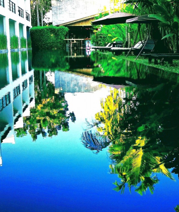 Tea Tree Spa Resort 30/82