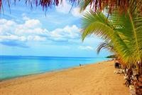 Peace Paradise Beach Resort 31/65