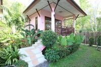 Pinky Bungalows Resort 14/67