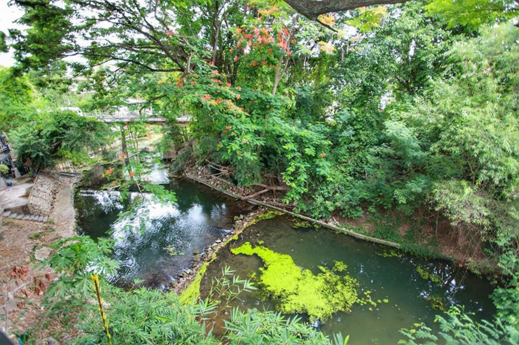 Bann Yang Tree Homestay At Pakchong 26/42