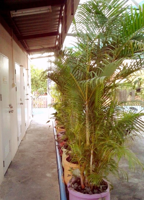 My Home Guest House 16/58