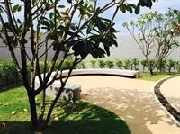 Imperial Ocean Palms Service Apartment 8/50