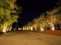 Get Link Hip Hua Hin Hotel 14/43