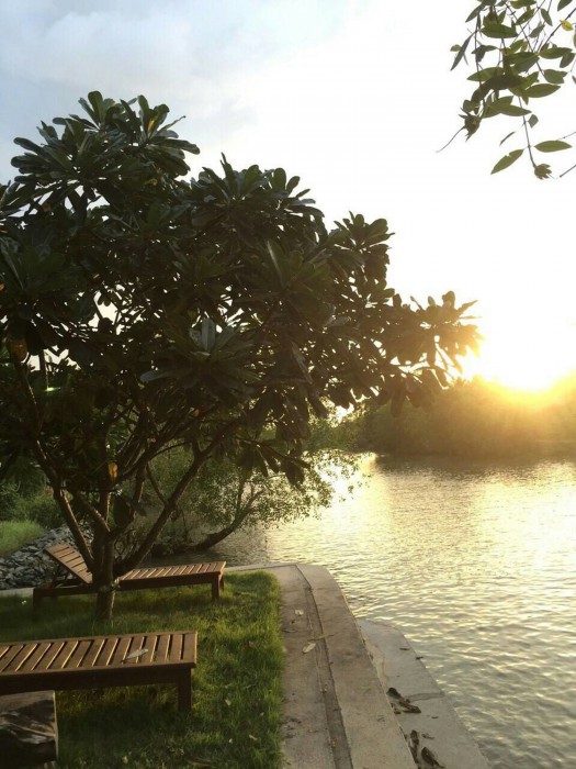 Amphawa Club 24/57