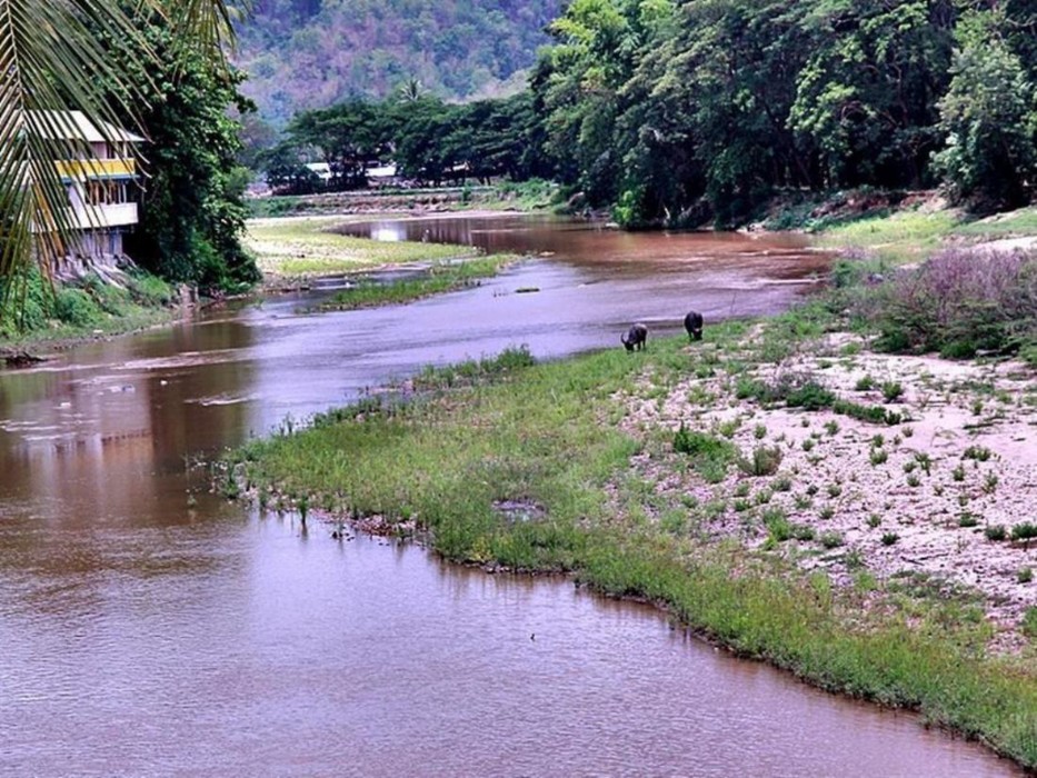 River Bank Resort 26/48