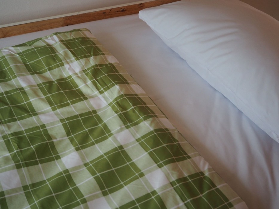 Green Sleep Hostel 36/68