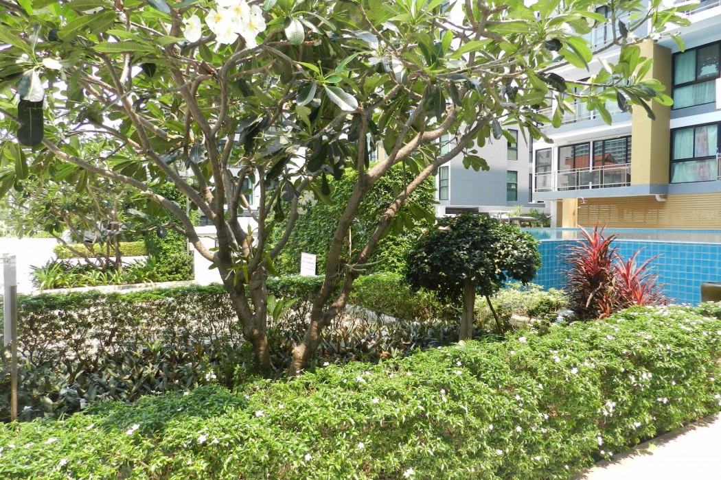 Apartments Alex Group Neocondo Pattaya 28/100