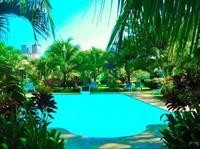The Golddigger's Resort 50/81