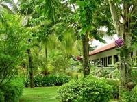 The Golddigger's Resort 40/81
