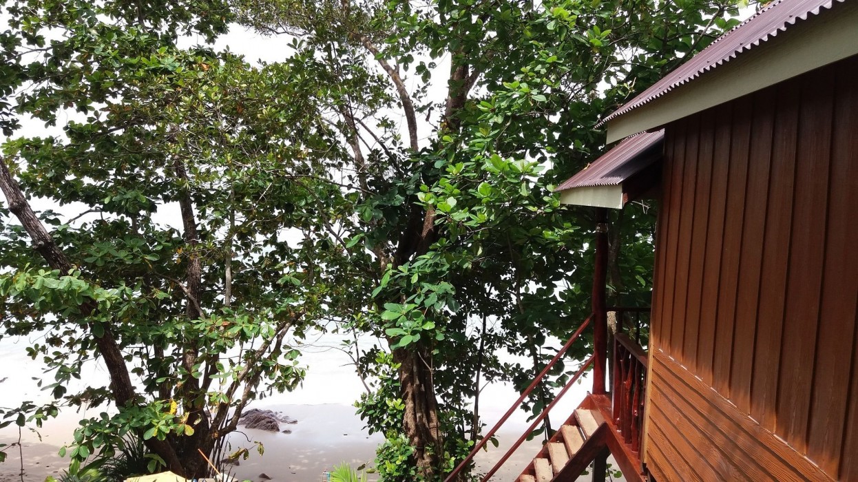 Jungle Hill Beach Bungalow 19/63