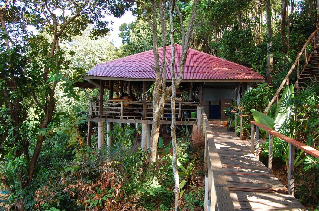 Jungle Hill Beach Bungalow 22/63