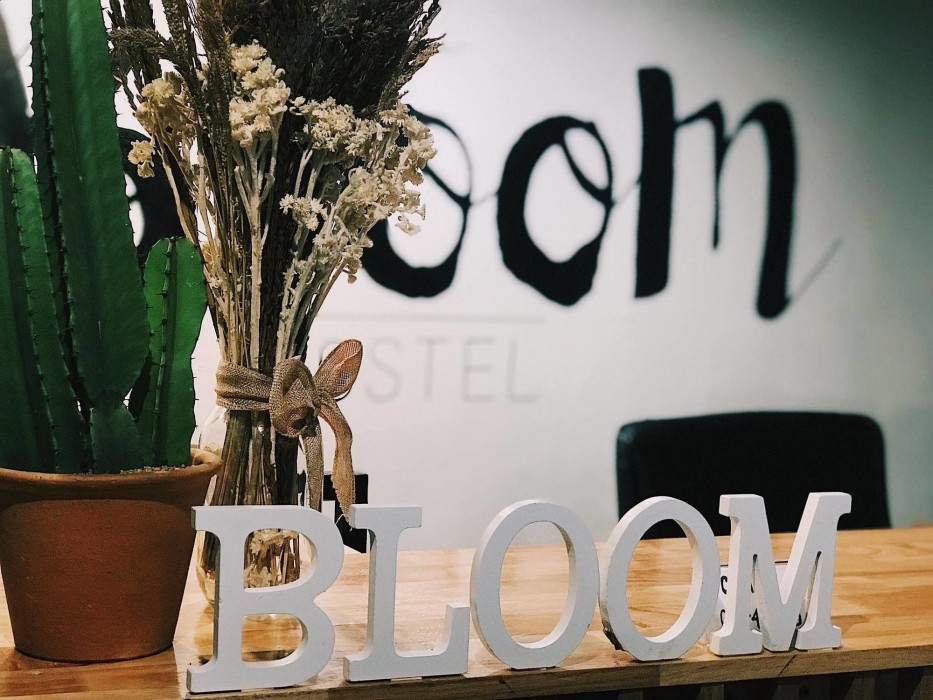 The Bloom Hostel 18/36