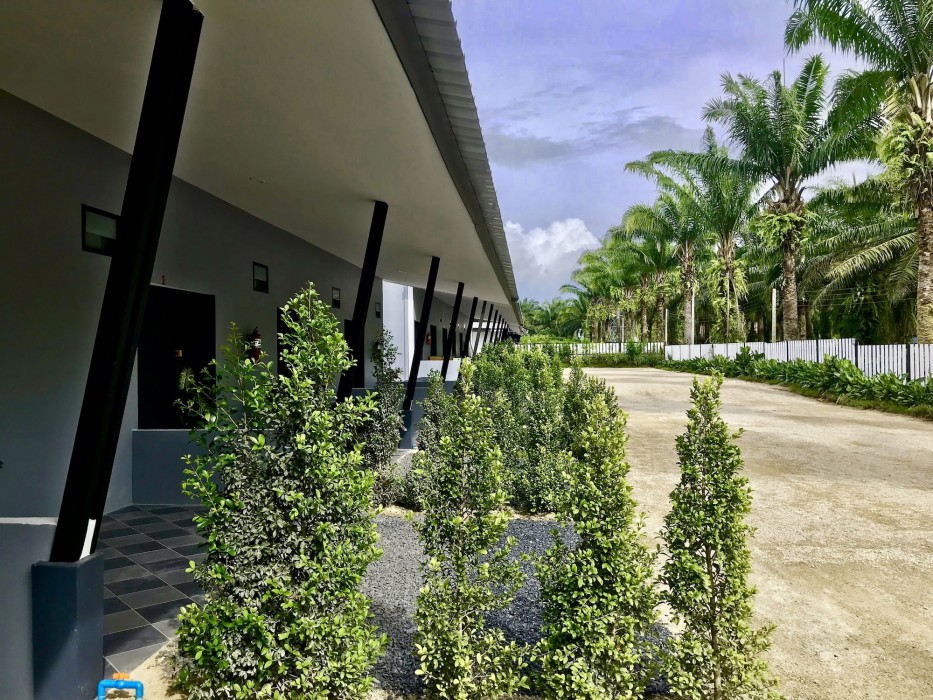Golden Palm Resort 25/53