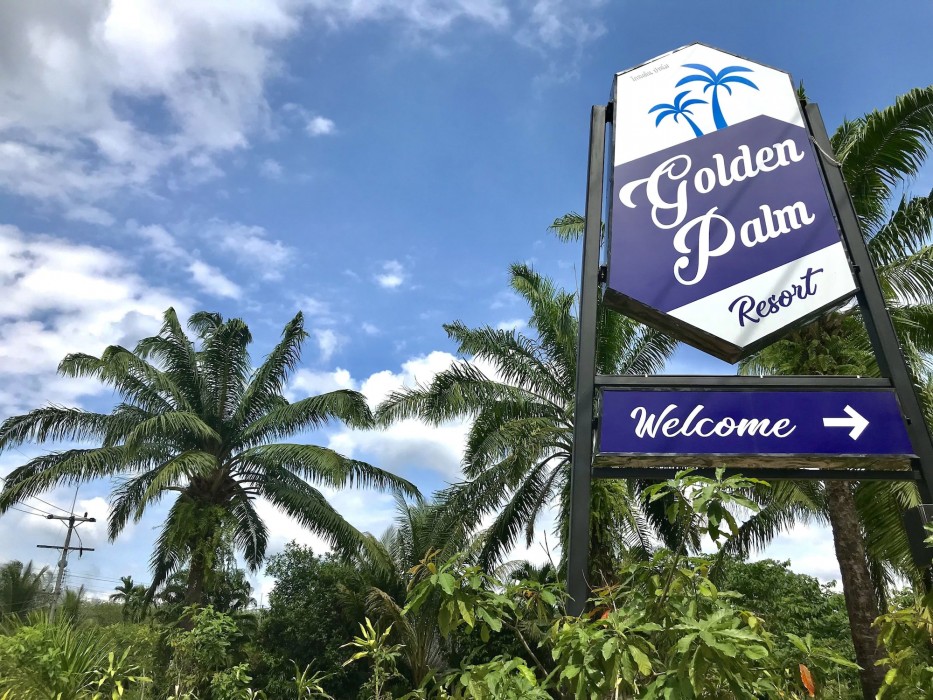 Golden Palm Resort 24/53