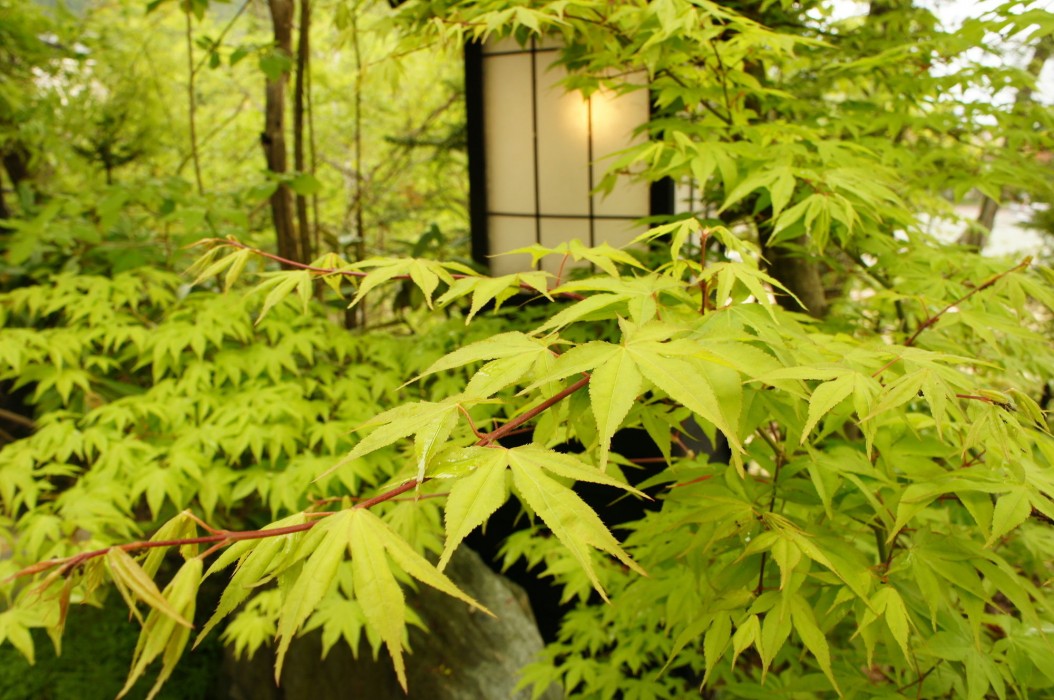 Kakurean Hidaji - Adults Only 18/64