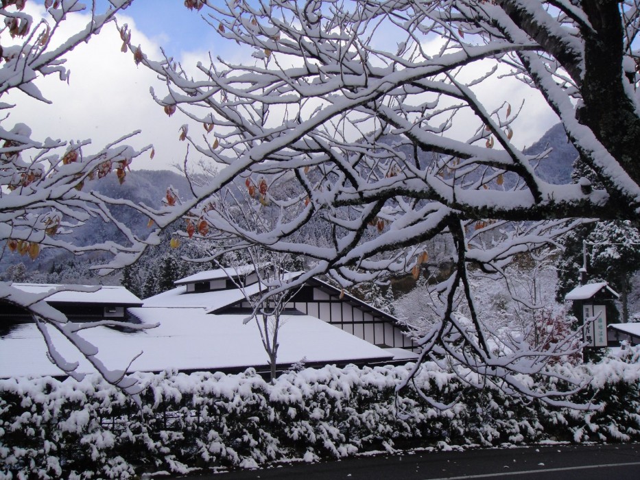 Kakurean Hidaji - Adults Only 31/64