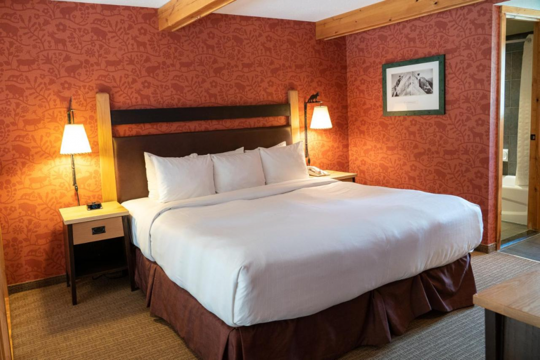 Fox Hotel & Suites 20/63