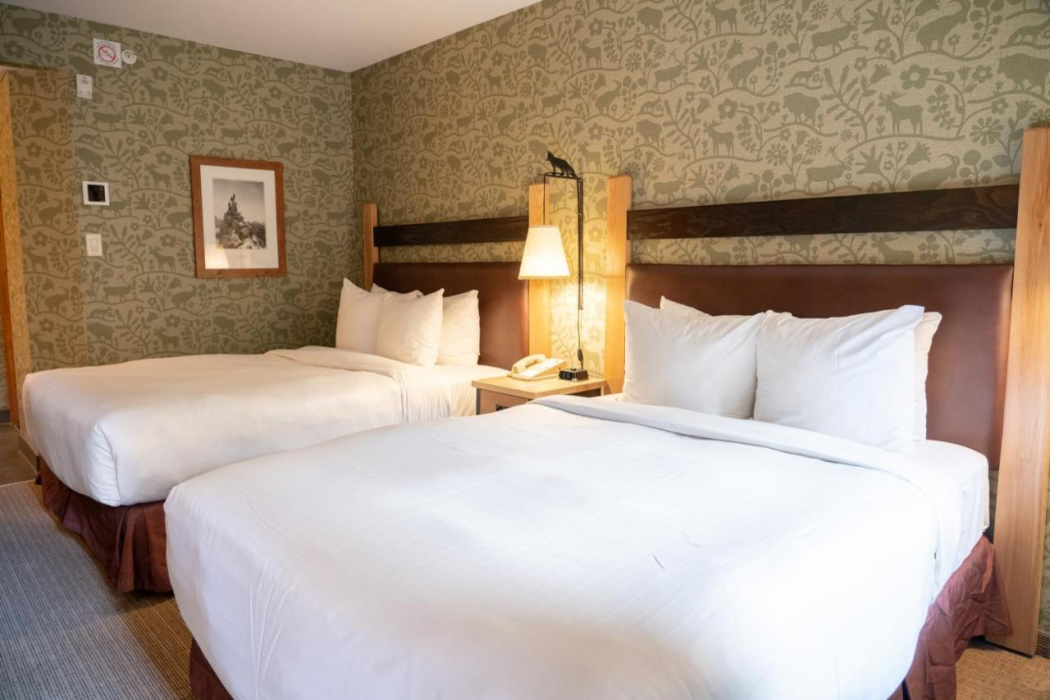 Fox Hotel & Suites 16/63