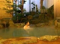 Yumoto Ryokan 24/64