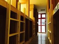 The Evergreen Hostel 15/53