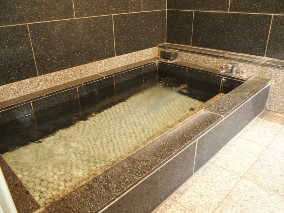 Guesthouse Hiiragi 40/87