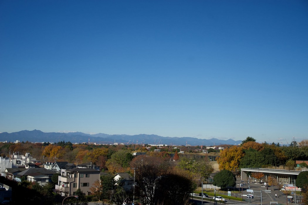 Hotel Rex Tachikawa 10/43