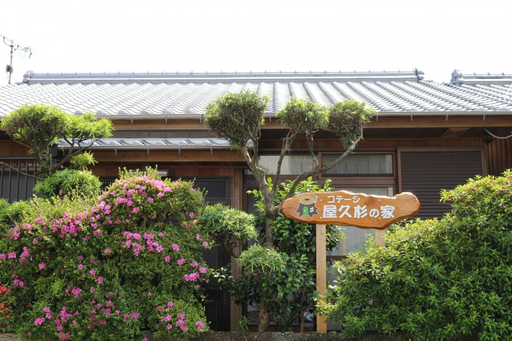 Yakusugi House 11/44