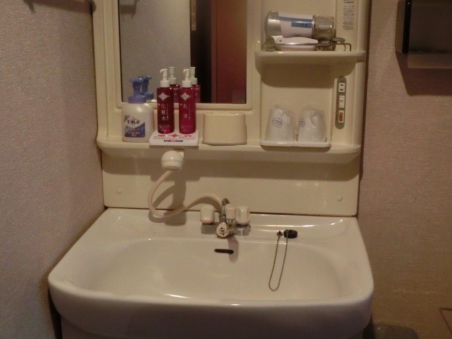 Kusatsu Skyland Hotel 17/100