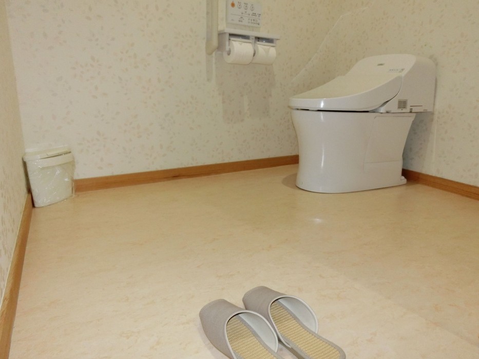 Kusatsu Skyland Hotel 65/100