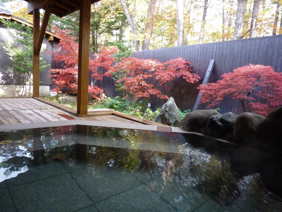 Kusatsu Skyland Hotel 21/100