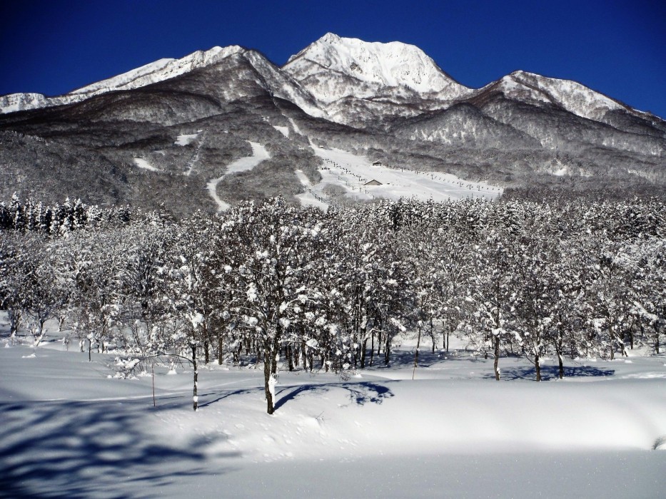 Mont Cervin 28/97