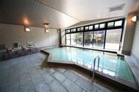 Shiobara Onsen Hotel 13/32