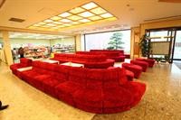 Shiobara Onsen Hotel 10/32