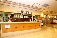 Shiobara Onsen Hotel 8/32
