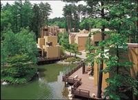 Forest Village - Fuji Premium Resort 10/36