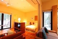 Forest Village - Fuji Premium Resort 9/36