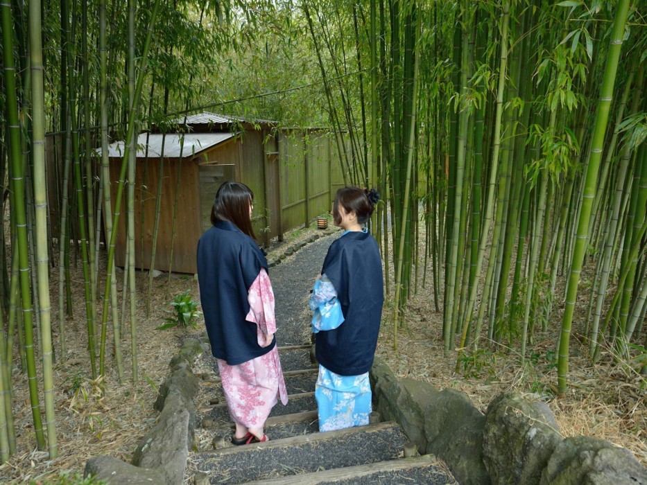 Narashino no sato Gyokusui -6 years or older 26/100