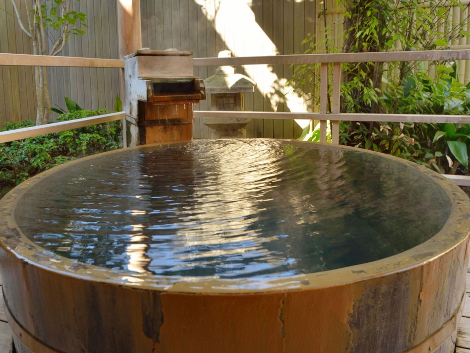 Narashino no sato Gyokusui -6 years or older 34/100