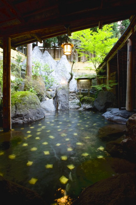 Beppu Showaen 17/44