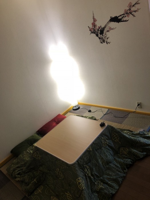 Hotel Fujikawaguchikosou 12/31