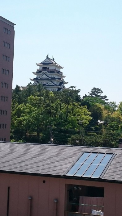 Fukuyama Rose Garden Hotel 25/82