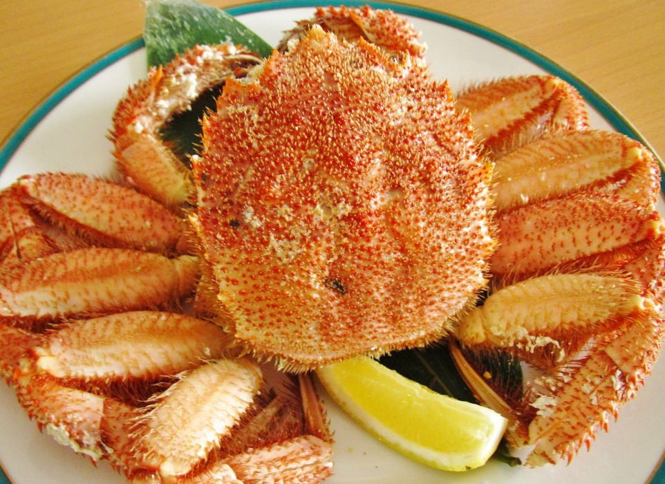 Rishiri Fuji Kanko Hotel 16/62