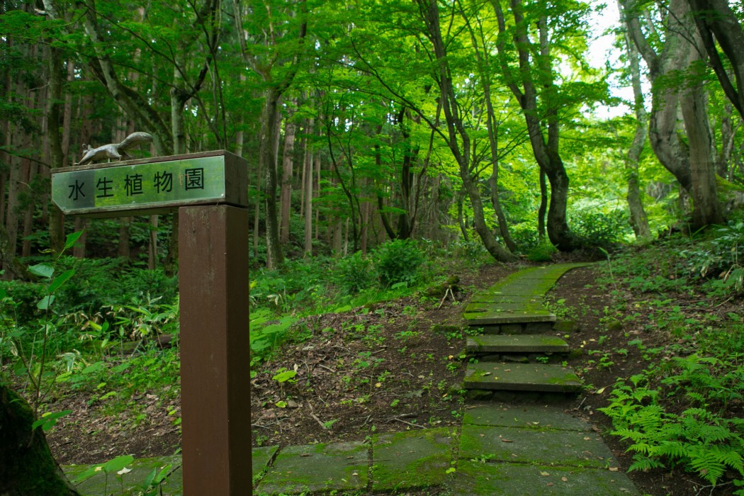 Inawashiro Shikinosato 29/100