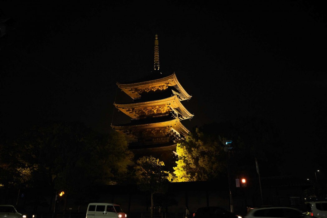 Premium Toji 26/99