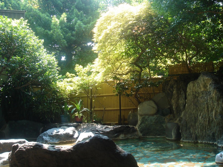 Hotel Ryokufuen 9/23
