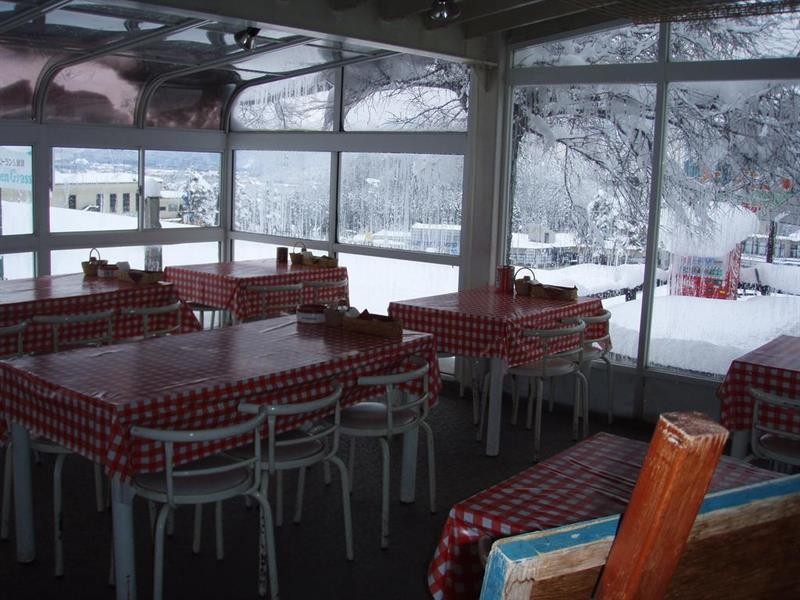 Green Grass Hakuba 15/49